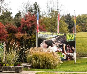 Eintrittspreise Saison 2022 im Vogelpark Steinen Eintrittspreise Saison 2022 im Vogelpark Steinen