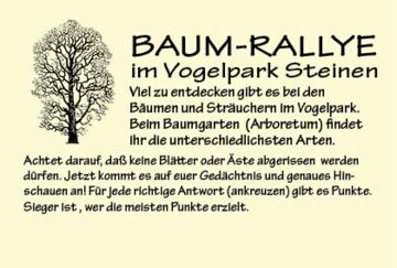Baum-Rallye Vogelpark Steinen