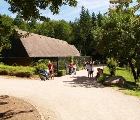 Handicap im Vogelpark Steinen Handicap im Vogelpark Steinen