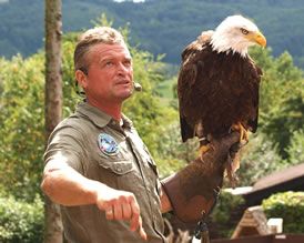 Falknerei im Vogelpark Steinen Falknerei im Vogelpark Steinen