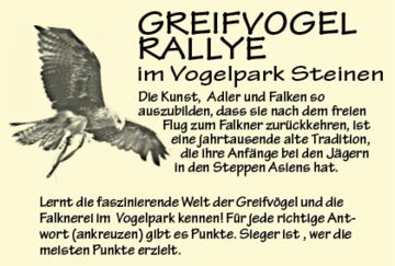 Greifvogel-Rallye Vogelpark Steinen