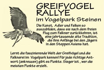 Greifvogel-Rallye Vogelpark Steinen Greifvogel-Rallye Vogelpark Steinen